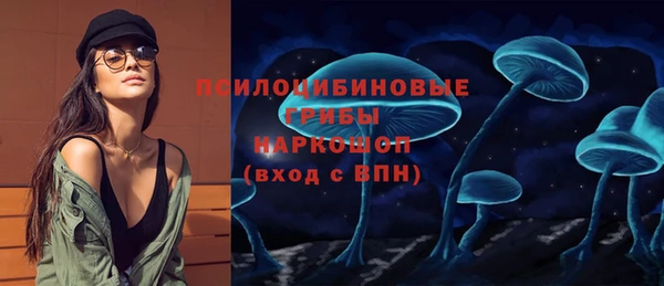 герыч Бородино