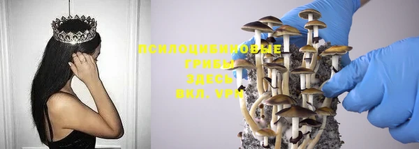 герыч Бородино