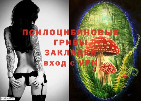 синтетический гашиш Бугульма