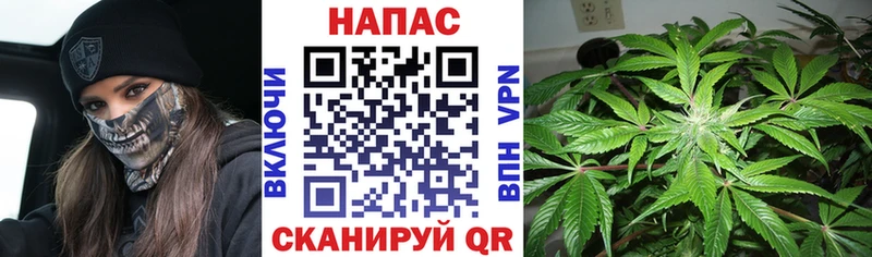Бошки Шишки сатива  Грязи 